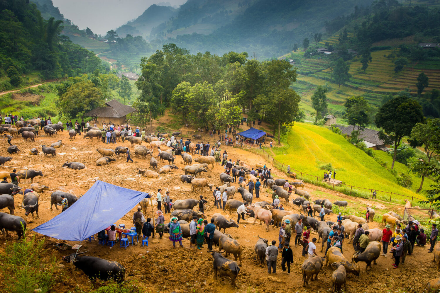 trekking Vietnam