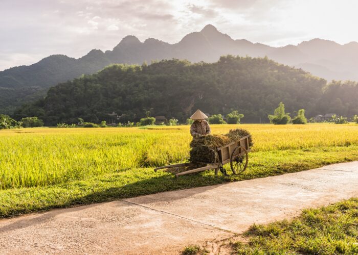 vietnam itinerary