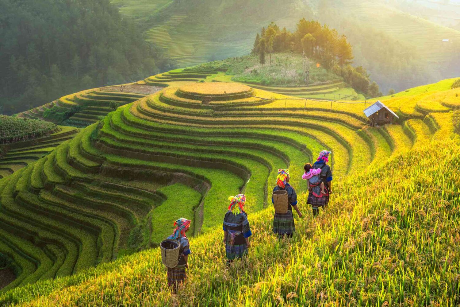 northern vietnam