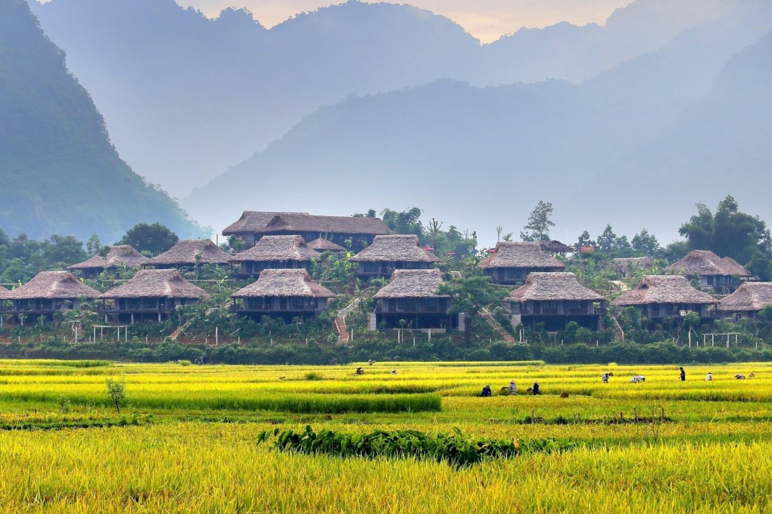 trip to vietnam