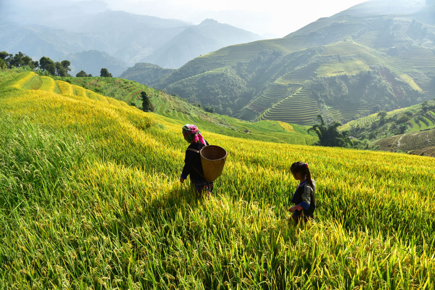 northern vietnam